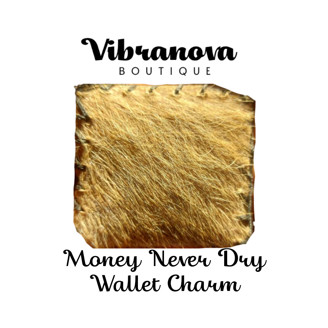 Money Never Dry Charm